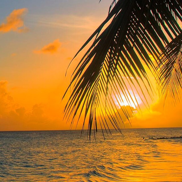 Maria **850 Strong** - Picture 3 of 3